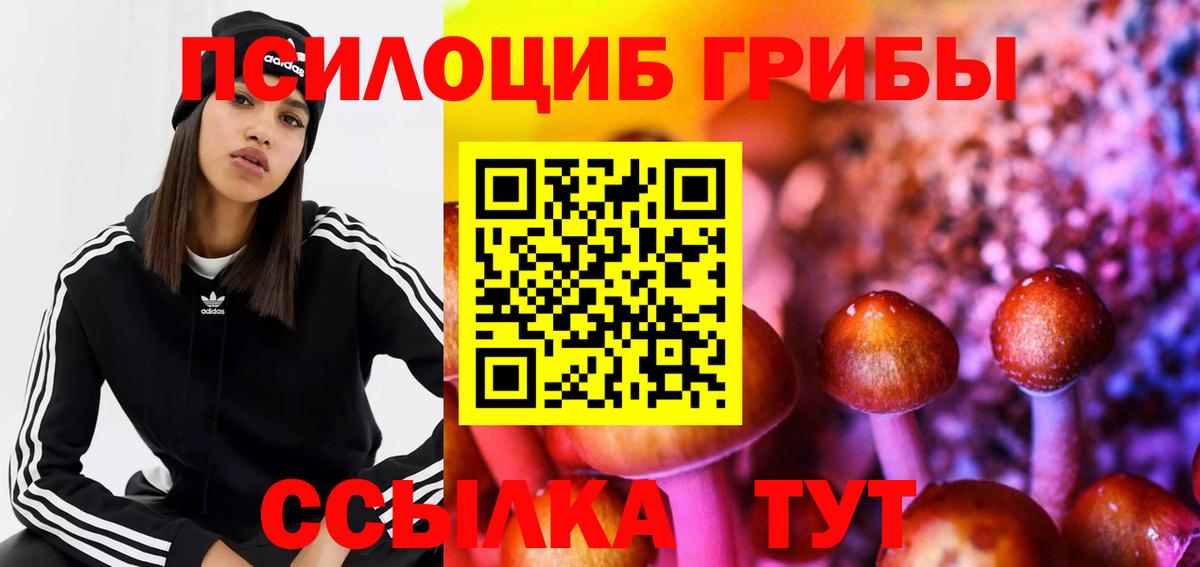 Дедовск  Псилоцибиновые грибы прущие грибы  Вход с VPN 