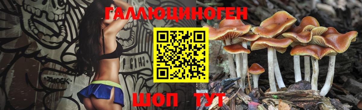 Галлюциногенные грибы Magic Shrooms Дедовск